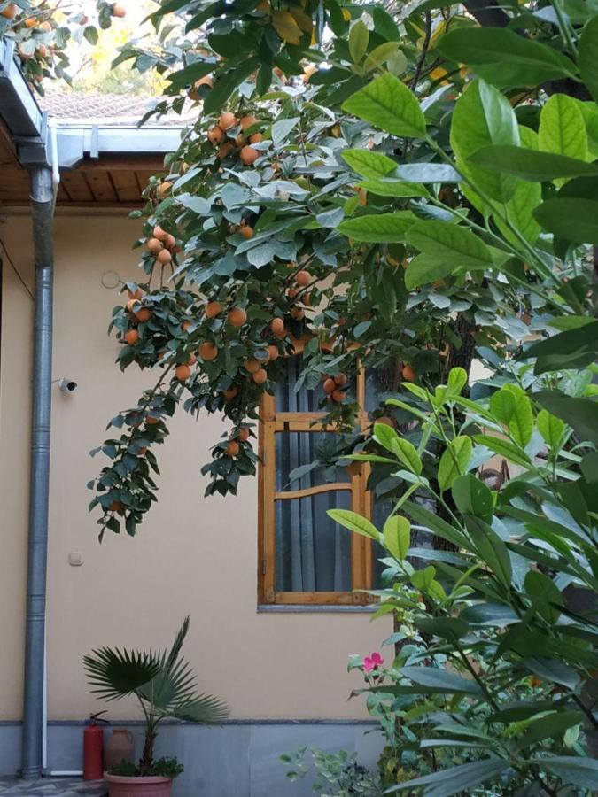 Sim Sim Hostel & Guest House Near The Church Samarkand Esterno foto
