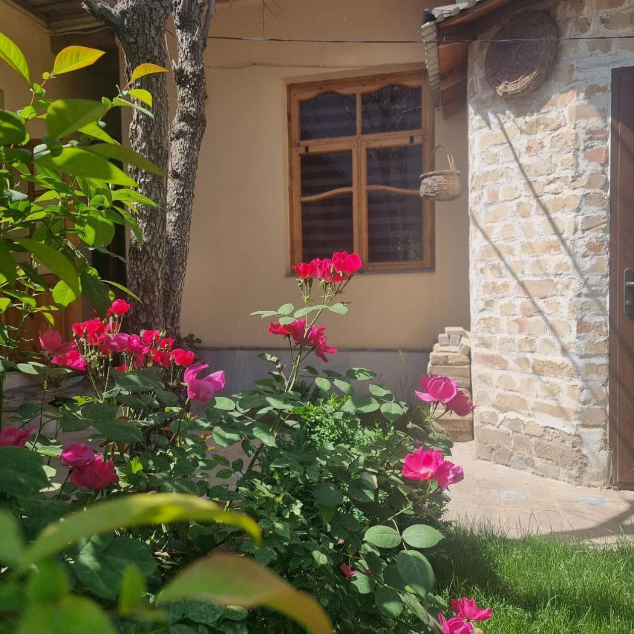 Sim Sim Hostel & Guest House Near The Church Samarkand Esterno foto